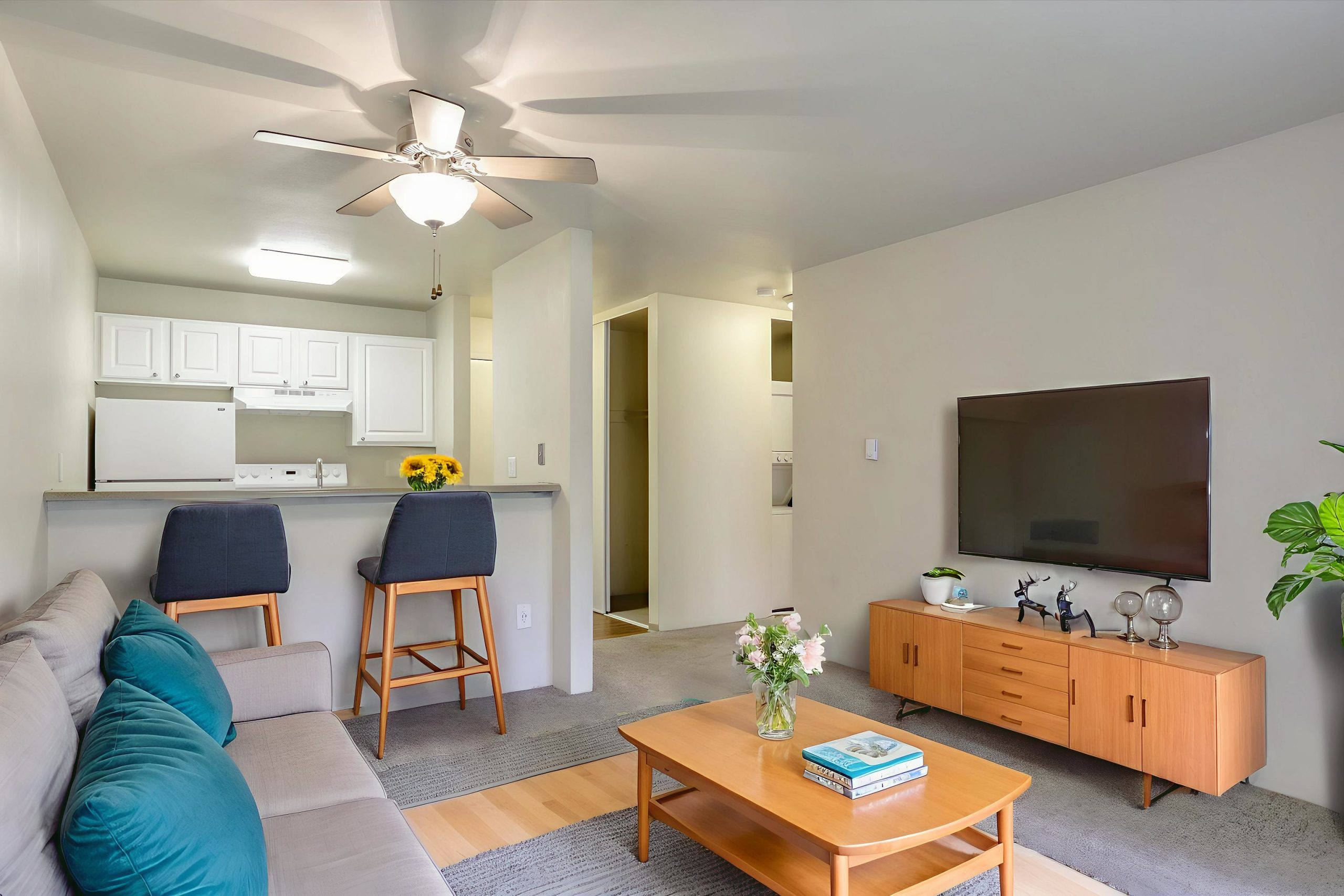 f8-28230-33330-07-living-room-modern-8